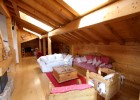  Elise des Alpes, Les Gets Ski Chalet